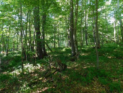 7 Cherry Wood Lane Terra Alta WV 26764
