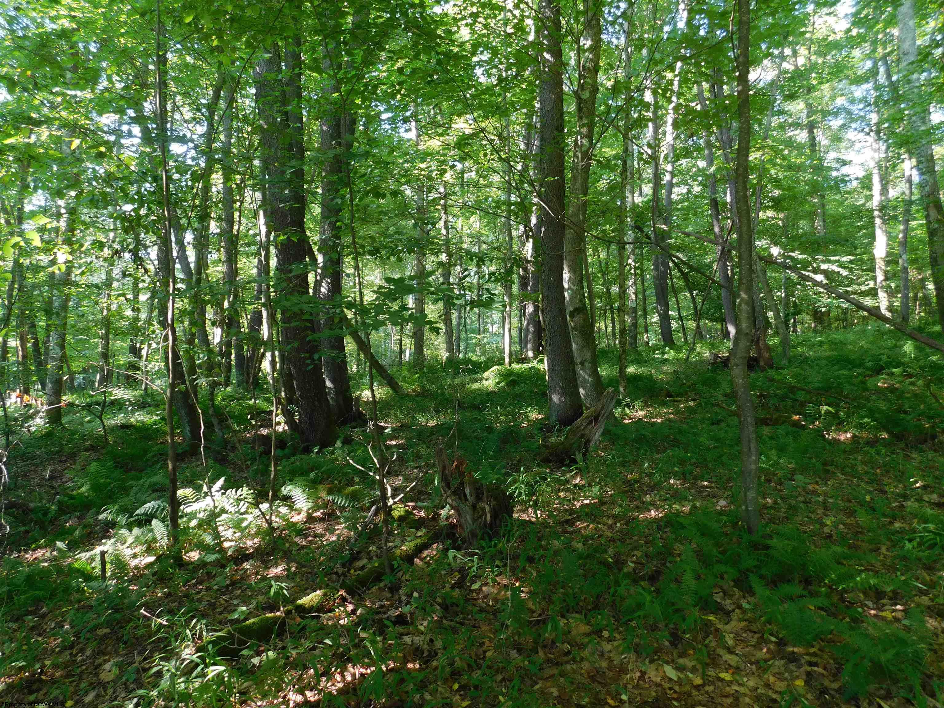 7 Cherry Wood Lane Terra Alta WV 26764