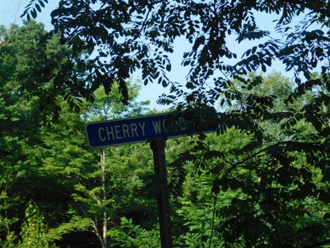 7 Cherry Wood Lane Terra Alta WV 26764