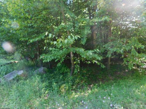 7 Cherry Wood Lane Terra Alta WV 26764