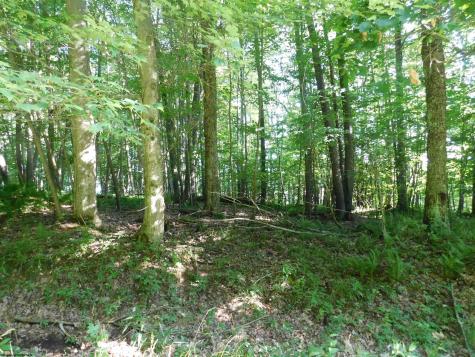 7 Cherry Wood Lane Terra Alta WV 26764