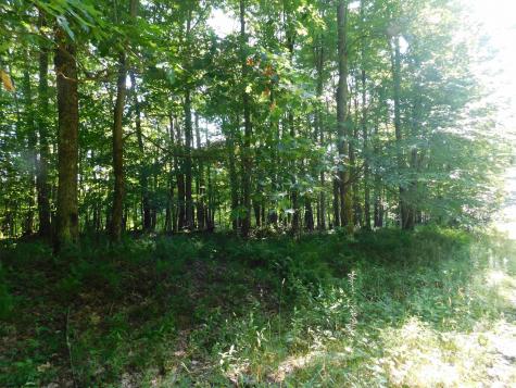 7 Cherry Wood Lane Terra Alta WV 26764