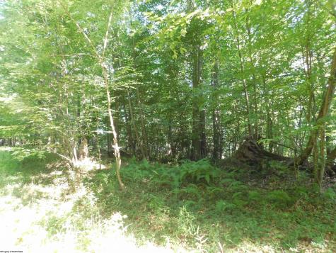 7 Cherry Wood Lane Terra Alta WV 26764
