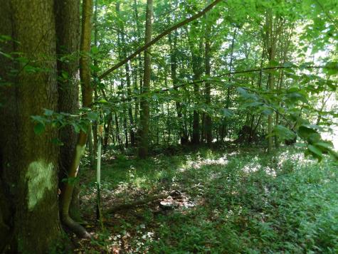 7 Cherry Wood Lane Terra Alta WV 26764