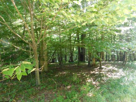 7 Cherry Wood Lane Terra Alta WV 26764