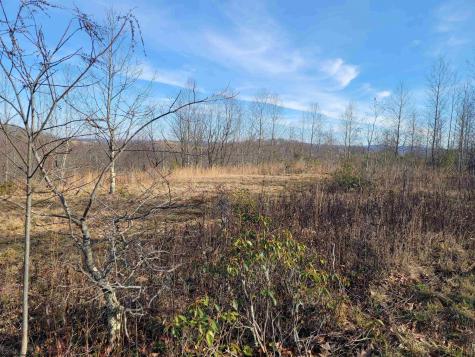 8 Sand Bank Road Masontown WV 26542