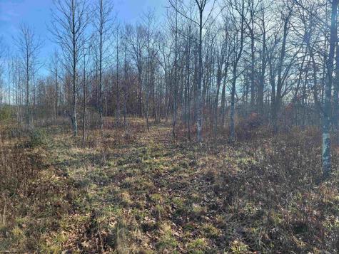 8 Sand Bank Road Masontown WV 26542