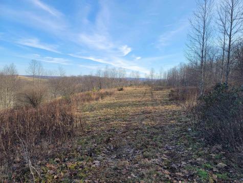 8 Sand Bank Road Masontown WV 26542