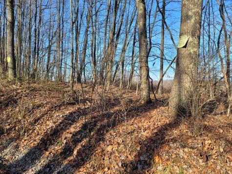 8 Sand Bank Road Masontown WV 26542