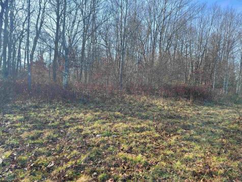 8 Sand Bank Road Masontown WV 26542