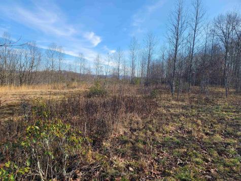 8 Sand Bank Road Masontown WV 26542