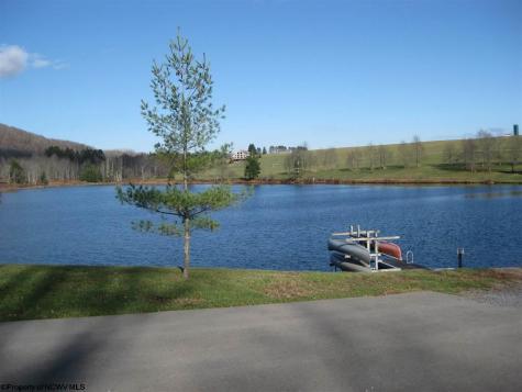 49 Mountain View Road Drive Davis WV 26260