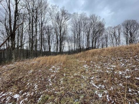 0 Upper Childers Run Buckhannon WV 26201