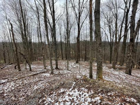 0 Upper Childers Run Buckhannon WV 26201