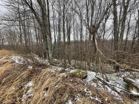 0 Upper Childers Run Buckhannon WV 26201