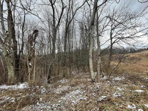 0 Upper Childers Run Buckhannon WV 26201