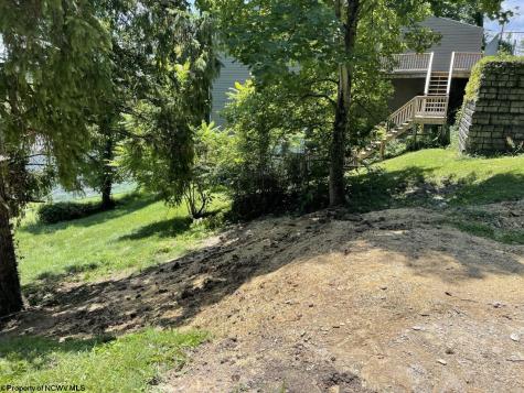1036 N Willey Street Morgantown WV 26505