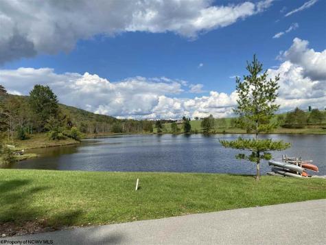 47 Mountain View Circle Davis WV 26260