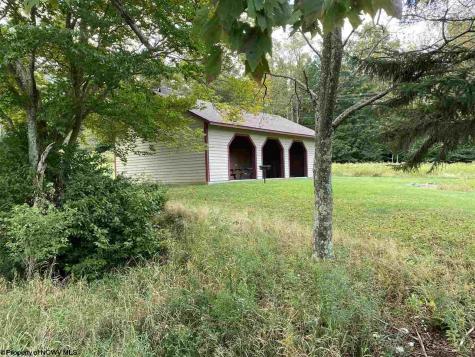 47 Mountain View Circle Davis WV 26260