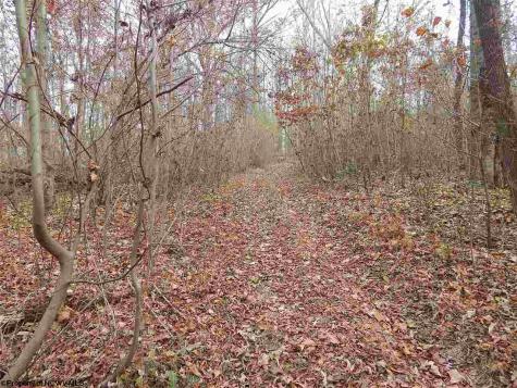 0 Fairmont Avenue Fairmont WV 26554