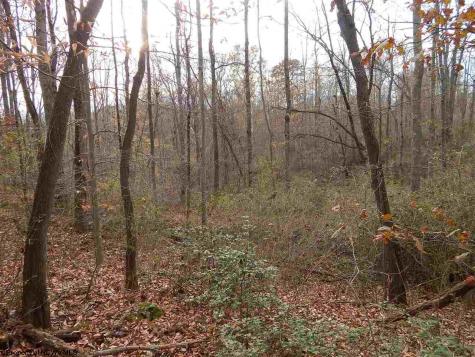 0 Fairmont Avenue Fairmont WV 26554