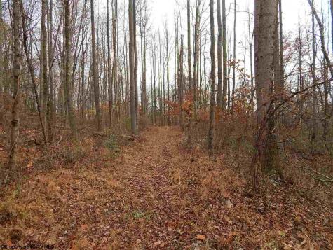 0 Fairmont Avenue Fairmont WV 26554