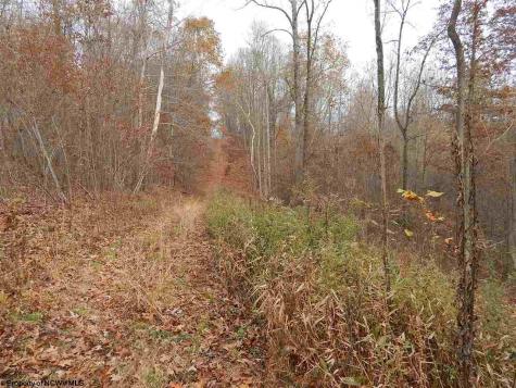 0 Fairmont Avenue Fairmont WV 26554