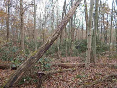 0 Fairmont Avenue Fairmont WV 26554