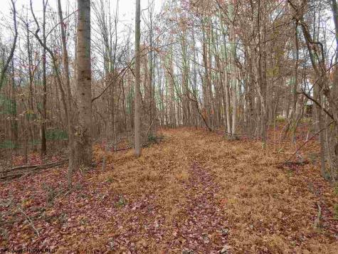 0 Fairmont Avenue Fairmont WV 26554