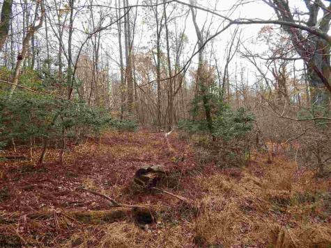 0 Fairmont Avenue Fairmont WV 26554