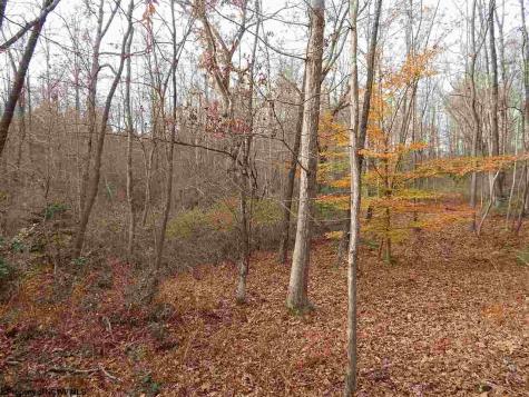 0 Fairmont Avenue Fairmont WV 26554