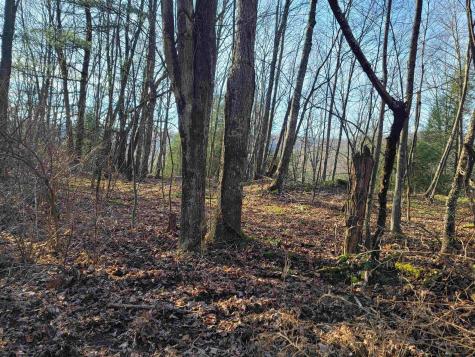 9 Sand Bank Road Masontown WV 26542