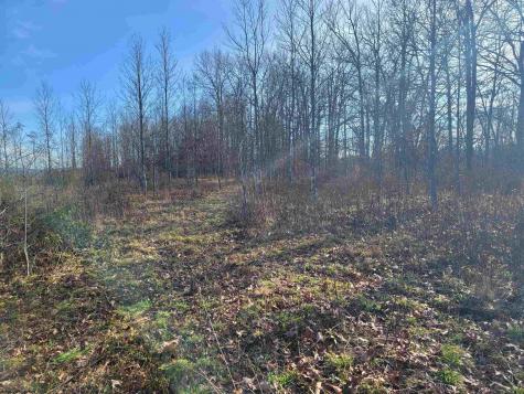 9 Sand Bank Road Masontown WV 26542